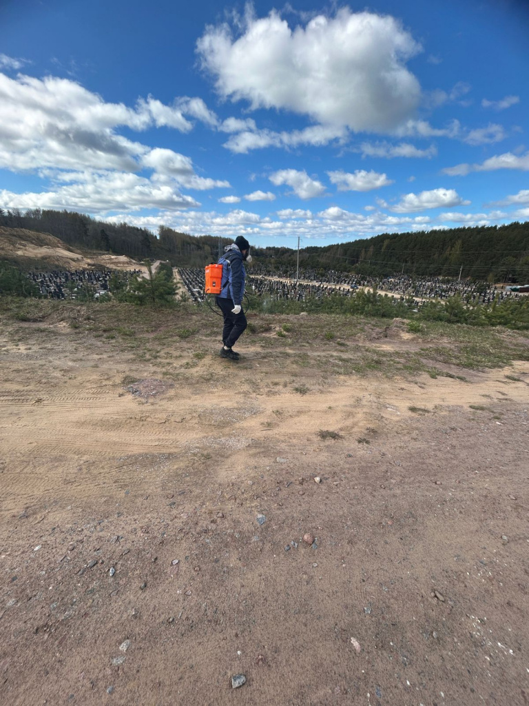 WhatsApp Image 2024-05-12 at 11.30.50.jpeg