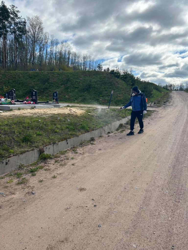 WhatsApp Image 2024-05-12 at 11.30.10.jpeg