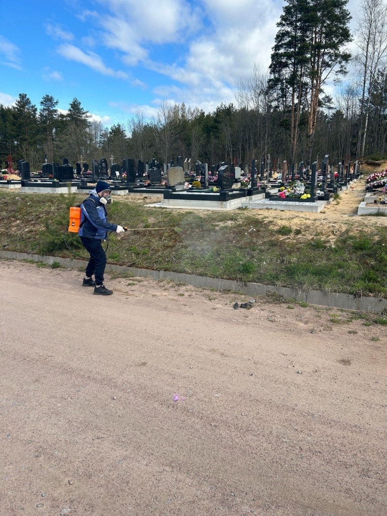 2342342342.jpg 2342342342.jpg