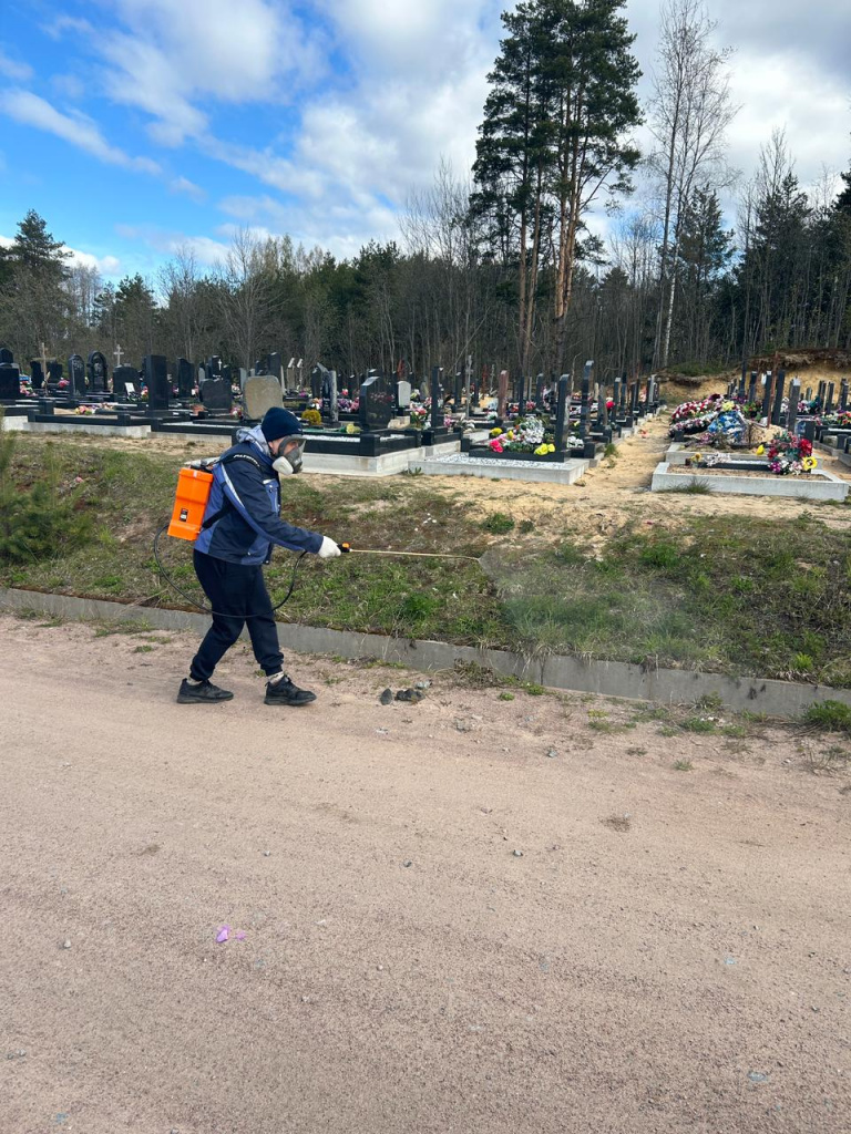 WhatsApp Image 2024-05-12 at 11.30.04.jpeg