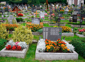 Какие цветы посадить на кладбище