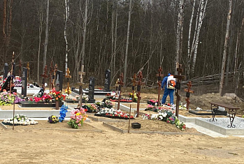 Обработка Кузьмоловского кладбища от клещей запланирована после майских праздников