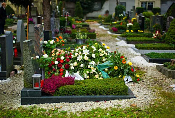 Как украсить кладбище многолетниками?